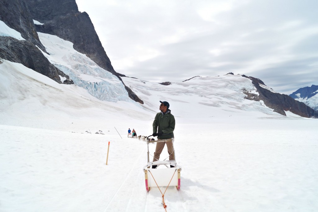 Juneau - Dogsledding on Herbert Glacier