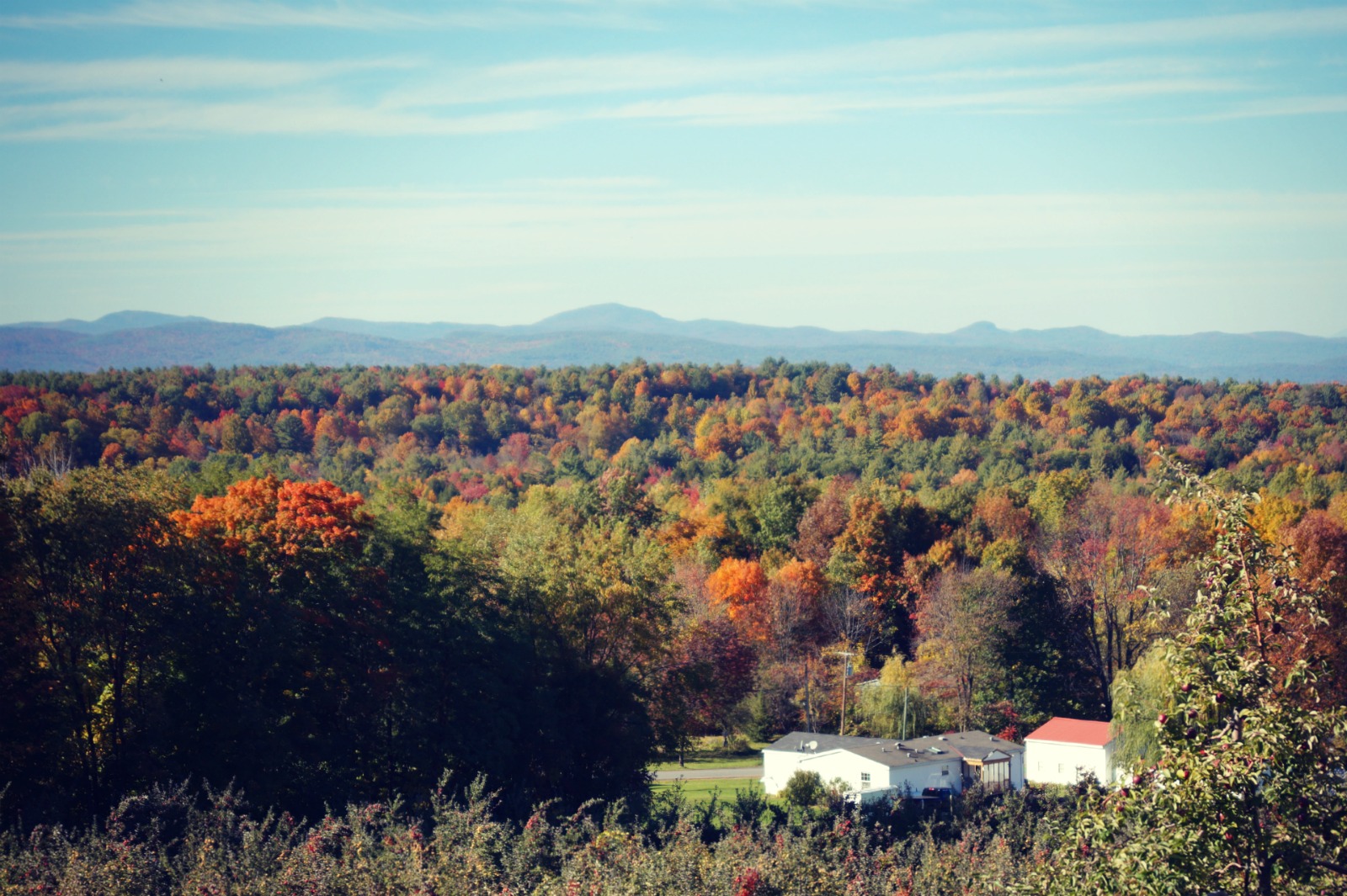 Fall Foliage in Upstate New York