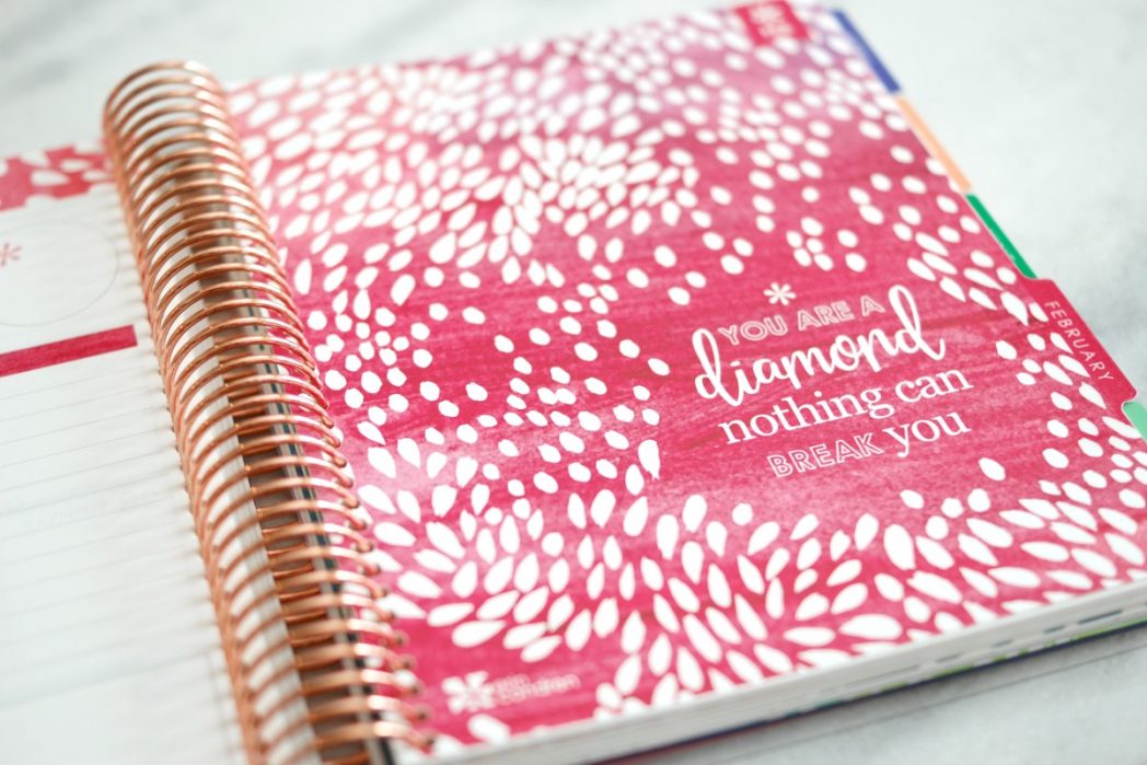 Erin Condren Lifeplanner™ Review Closet Confections 1306