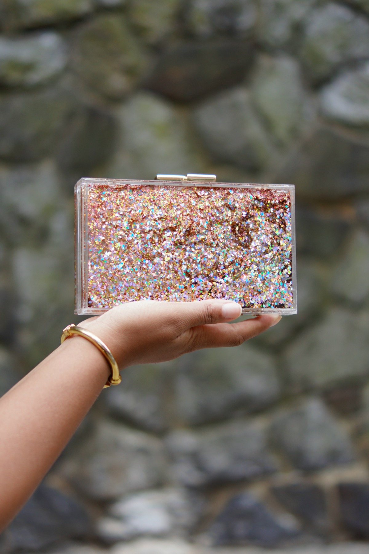 Aldo Glitter Perspex Clutch