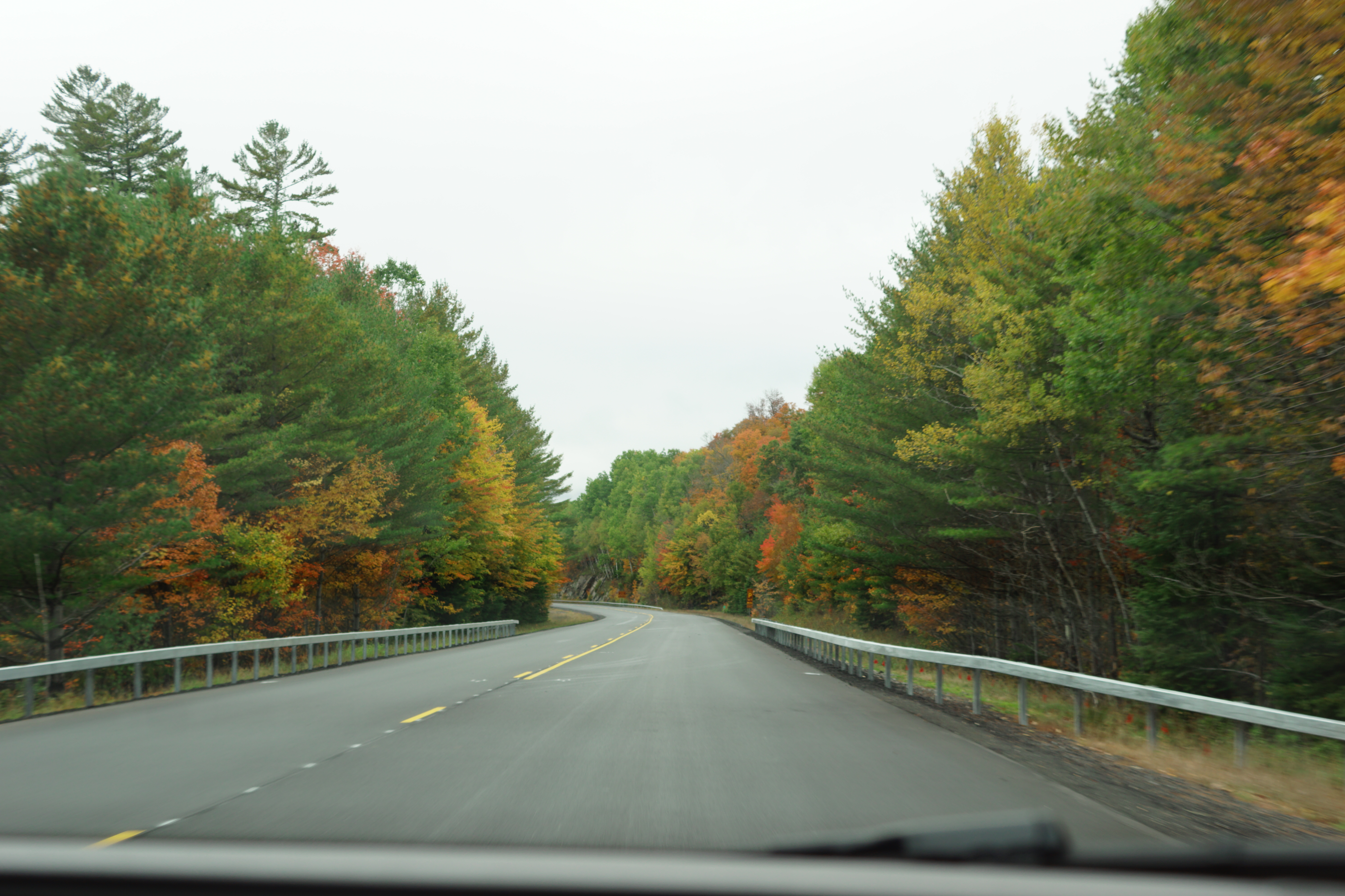 fall foliage, family road trip, adirondacks, gore mountain