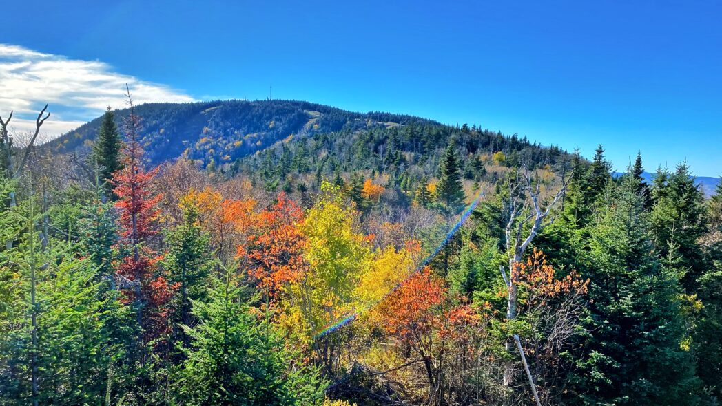 Fall Foliage at Gore Mountain in the Adirondacks